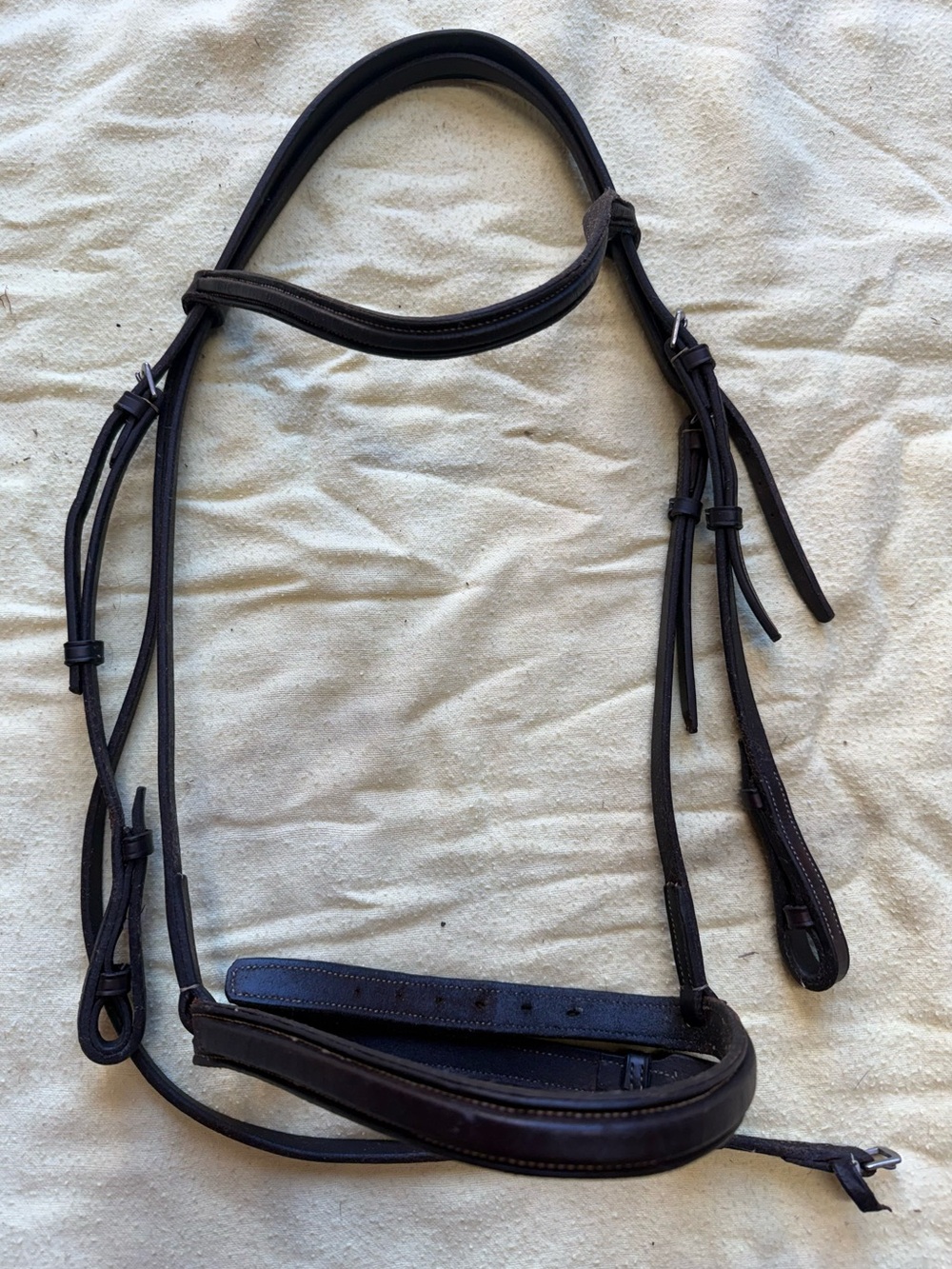 Square raised cob bridle
